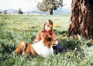 Ich höre dich, Lassie