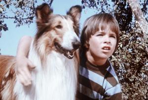 Unsere Lassie