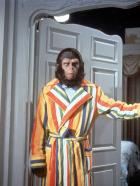 Flucht vom Planet der Affen - Auf der Erde angekommen, avancieren die sprechenden Affen (Roddy McDowall) bald zur großen Attraktion und zu einem Fall für den amerikanischen Kongress. Sie finden Freunde in den beiden Tierärzten Dr. Lewis Dixon und Dr. Stephanie Branton. Doch Kongressmitglied Dr. Hasslein misstraut den Affen aus der Zukunft ...
