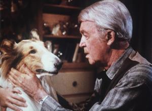 Unsere Lassie