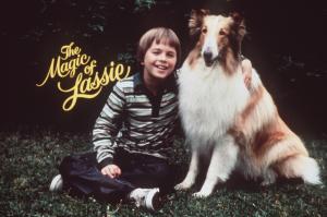 Unsere Lassie