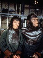 Flucht vom Planet der Affen - Die fremdartigen Affenwesen Cornelius (Roddy McDowall, r.) und Zira (Kim Hunter, l.) sind zunächst eine Sensation und werden von den Erdenbewohnern herzlich aufgenommen. Das ändert sich schlagartig, als bekannt wird, dass Zira Nachwuchs erwartet. Regierung und Wissenschaft sehen den Fortbestand der Menschheit bedroht ...