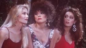 Weil sie ihre Verehrer zurückgewiesen haben, wurden Kelly (Christina Applegate, l.) und ihre Freundinnen, Lorraine (Liz Vassey, M.) und Diane (Lisa Rieffel, r.), auf einer einsamen Landstraße ausgesetzt. © Columbia Pictures Weil sie ihre Verehrer zurückgewiesen haben, wurden Kelly (Christina Applegate, l.) und ihre Freundinnen, Lorraine (Liz Vassey, M.) und Diane (Lisa Rieffel, r.), auf einer einsamen Landstraße ausgesetzt. © Columbia Pictures