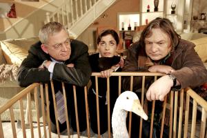 Folge 441